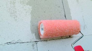 adiavroxopoiisi-porodous-epifanias.2