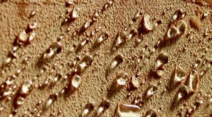 adiavroxopoiisi-porodous-epifanias.4