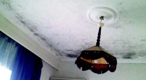 fouskomata-mouxla-sto-tavani.0.2