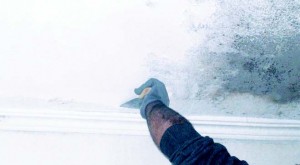 fouskomata-mouxla-sto-tavani.3