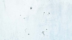 igrasia-mouxla-stis-exoteriki-toixopoiia.4