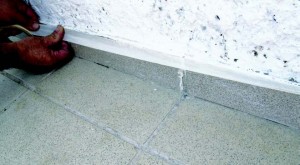 provlimatiko-sovatepi.3