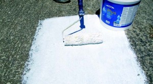 taratsa-me-rigmatoseis.2