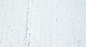 topiki-steganosi-armon.6